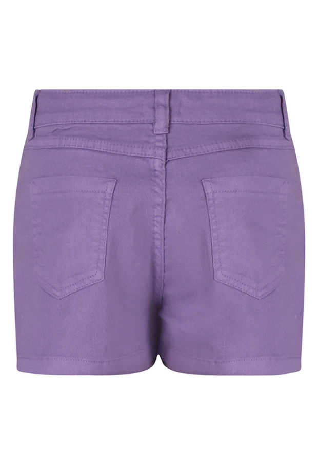 Z10047/3210216 violet