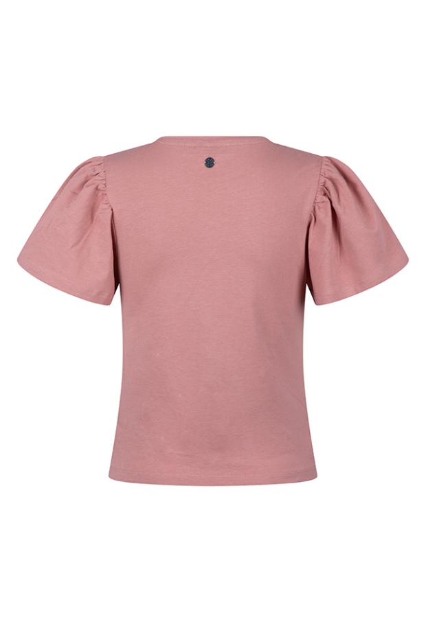 Z10051/3210613 OUD ROSE 