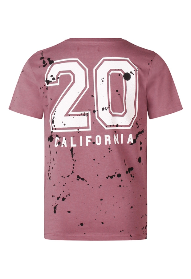 Z10259/3217607 prune 