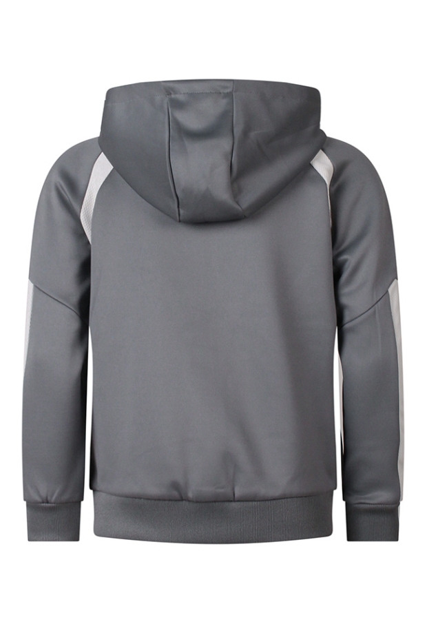 Z10271/3217403 grijs