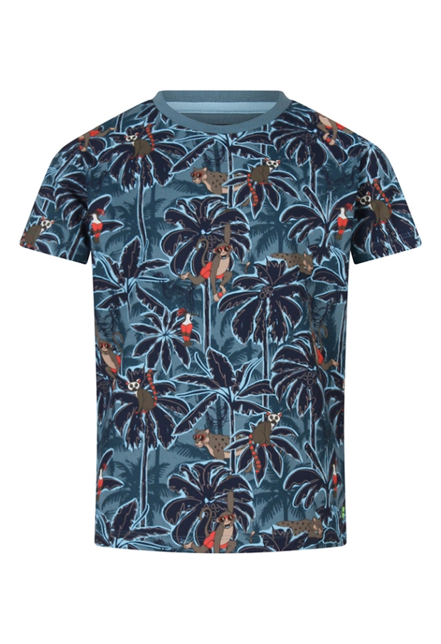 Z10274/3217617 petrol 