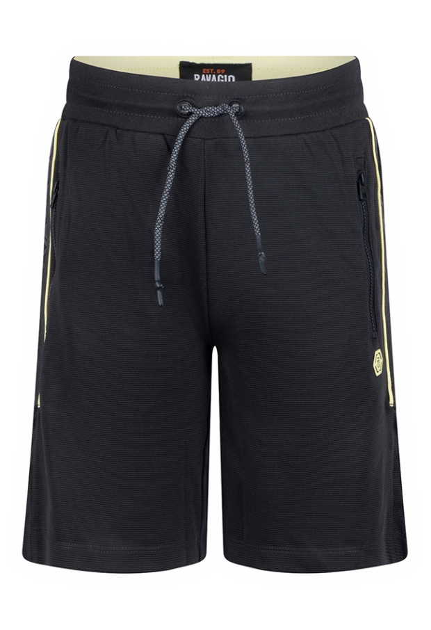 Z10224/Artien Antraciet 