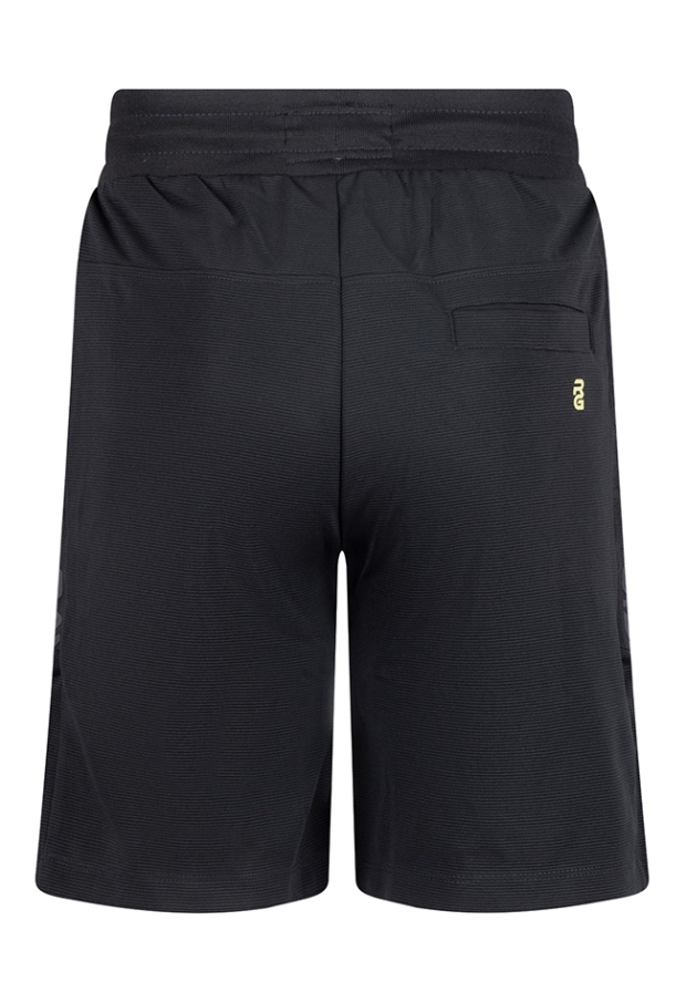 Z10224/Artien Antraciet 