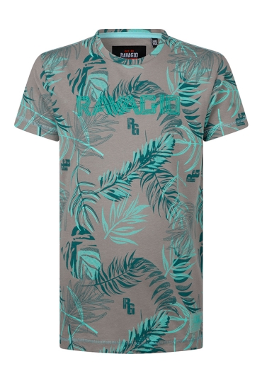 Ravagio Z10237/Anslow grijs  grey