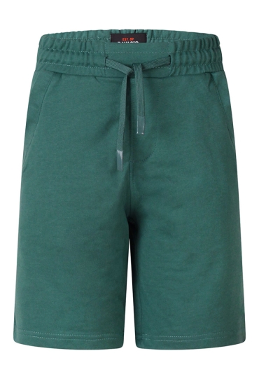 Ravagio Z10303/Anwar Jade  teal green