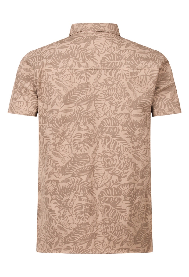 Z10379/Asuib men zand