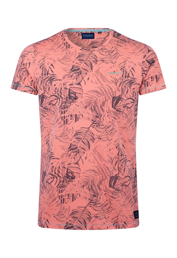 Z10383/Anslow men koraal 