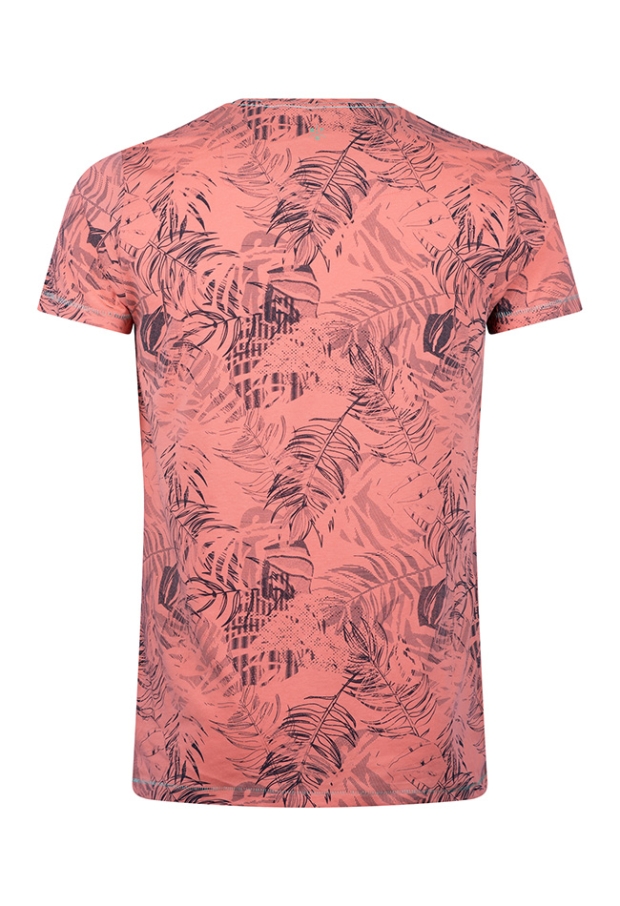 Z10383/Anslow men koraal 