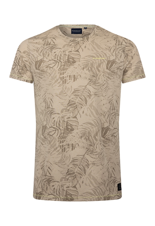 Z10383/Anslow men zand 