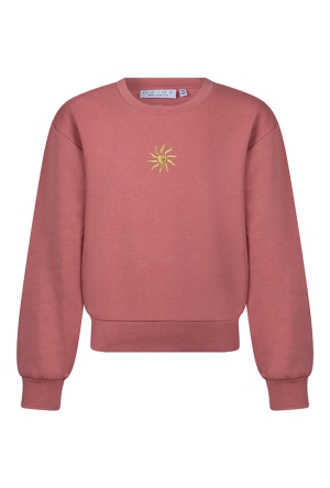 D-zine Z10055/Athena OUD ROSE  old pink