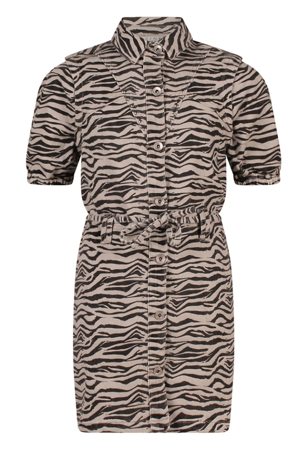 Z10069/Ashelie aop KIT 