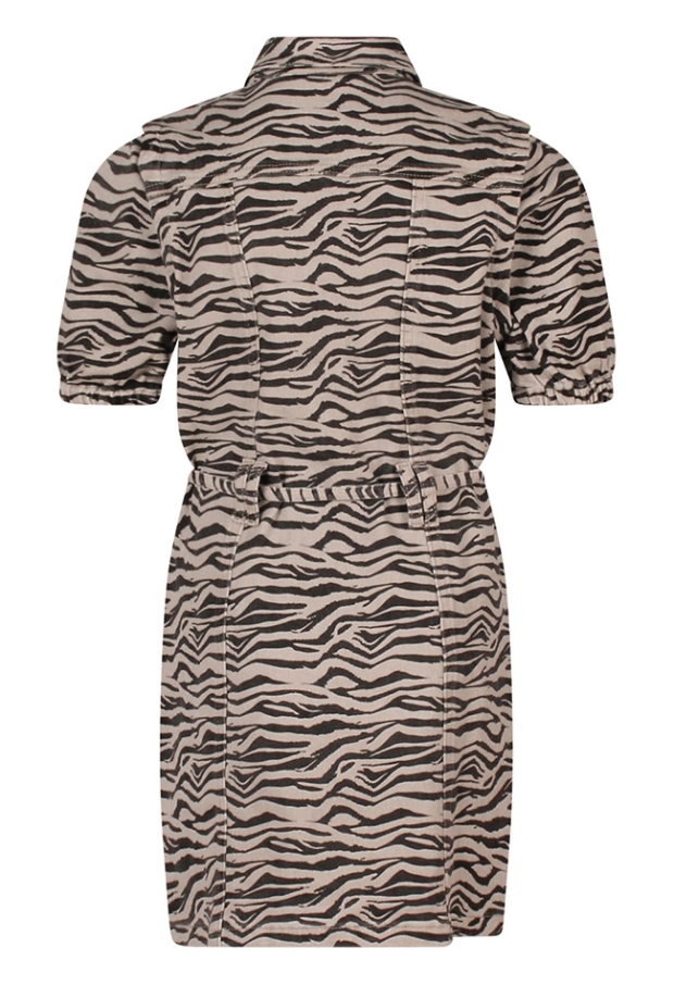 Z10069/Ashelie aop KIT 