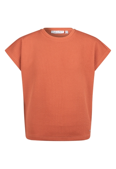 D-zine Z10180/Agnetha terra  rust orange