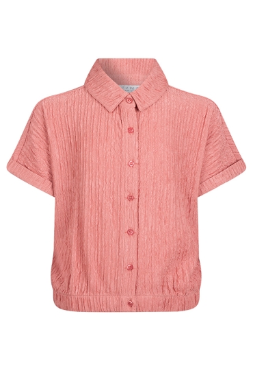 D-zine Z10184/Asima OUD ROSE  old pink