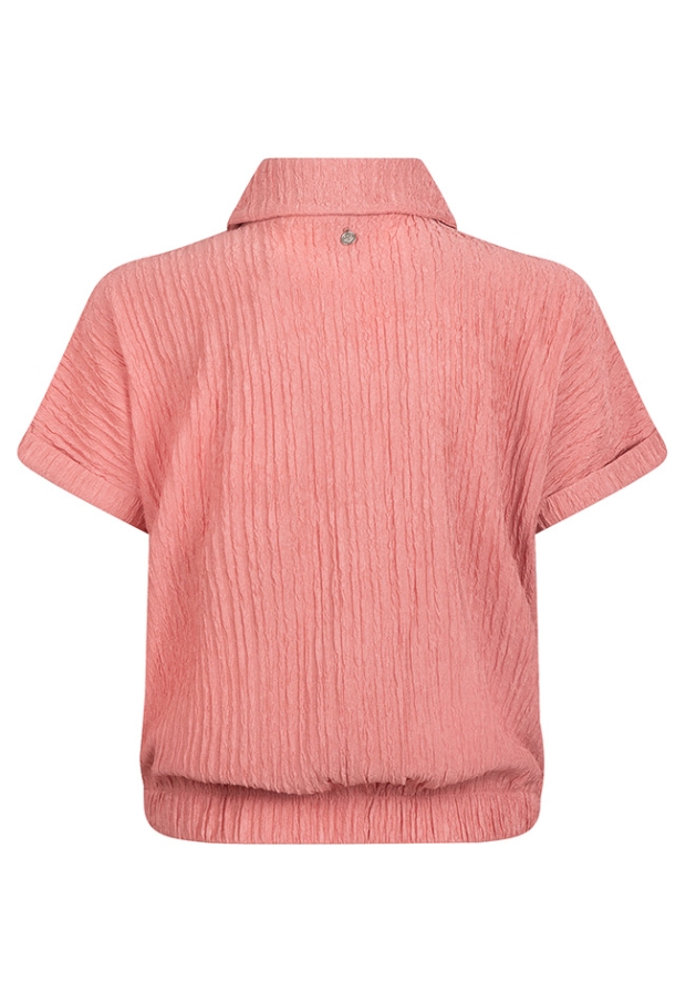 Z10184/Asima OUD ROSE 