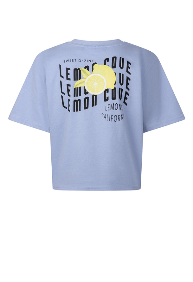 Z10196/Abina lavendel