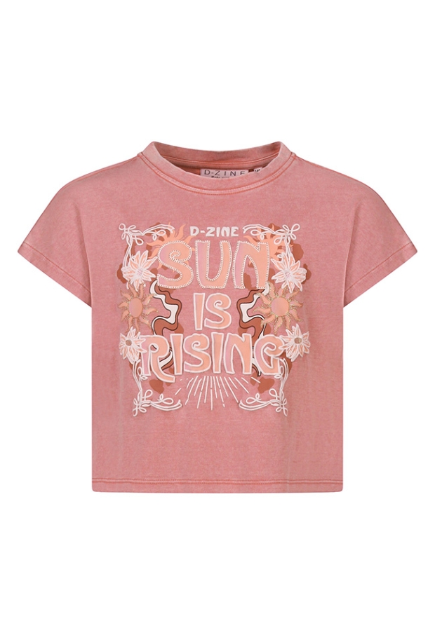 Z10202/Asente OUD ROSE