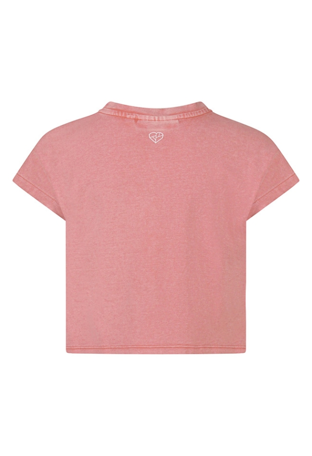 Z10202/Asente OUD ROSE