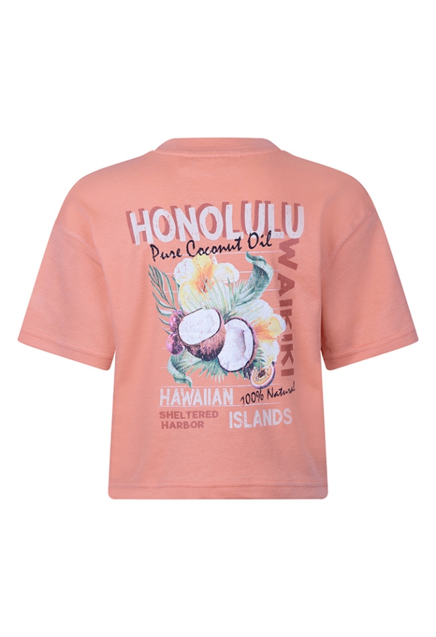 Z10203/Alfreda PERZIK 