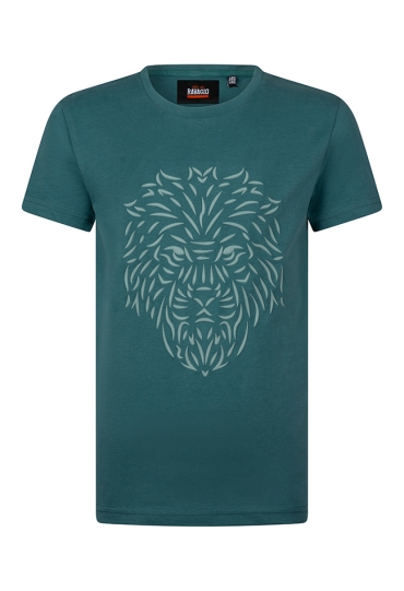 Ravagio Z10222/Avo Jade  teal green