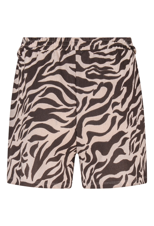 Z10494/Tessa aop Bruin 