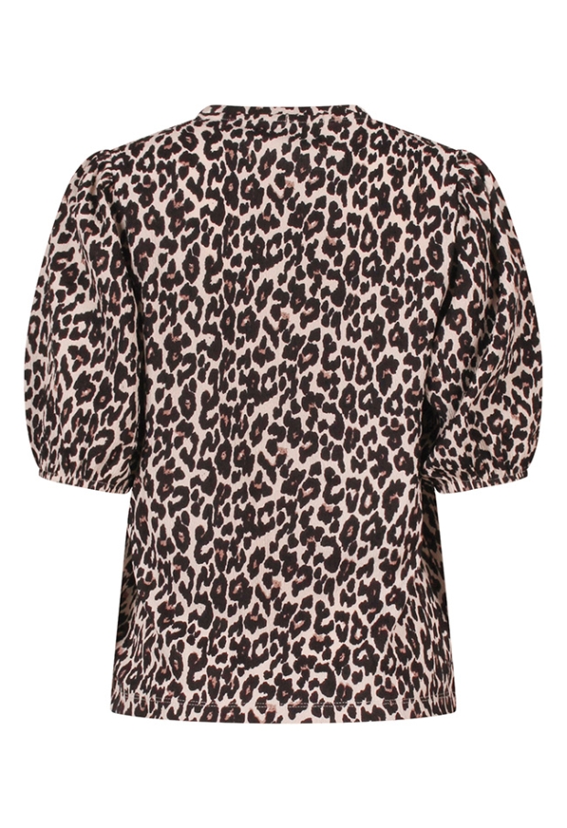 Z10496/Daantje aop KIT 