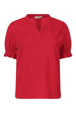 Citylife Z10517/LW93511 ROOD  poinsettia