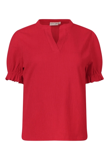 Citylife Z10517/LW93511 ROOD  poinsettia