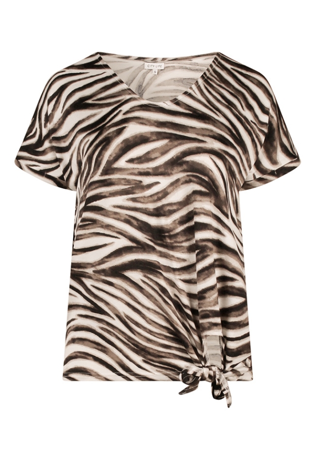 Z10524/CX90721R2 KIT