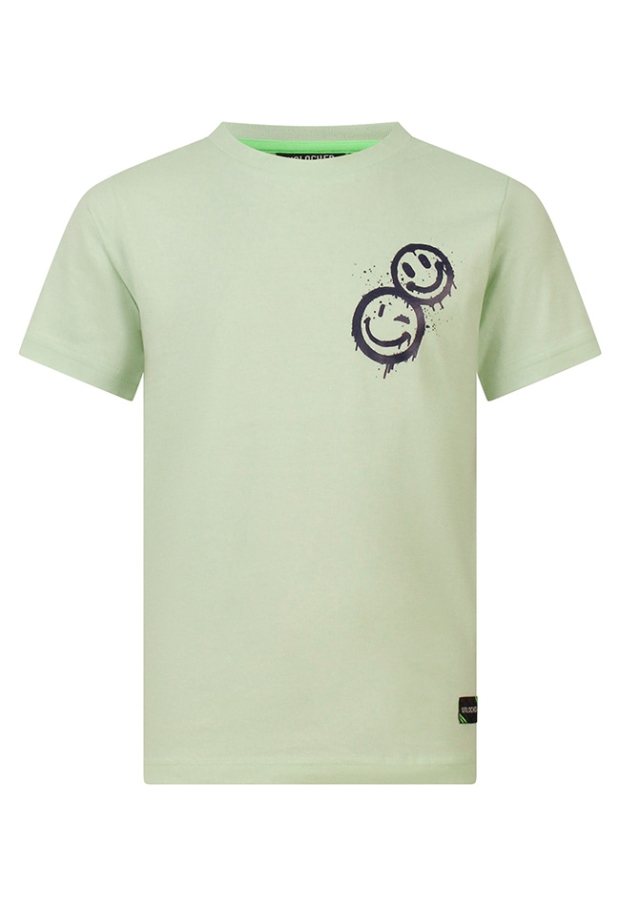 Z10567/534174 Pastel Groen 