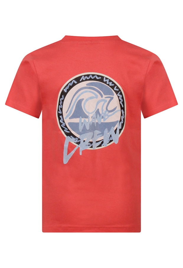 Z10568/534138 koraal 