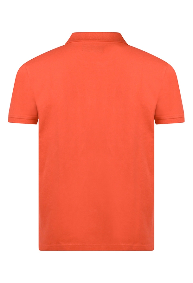 Z10607/7623200M koraal 