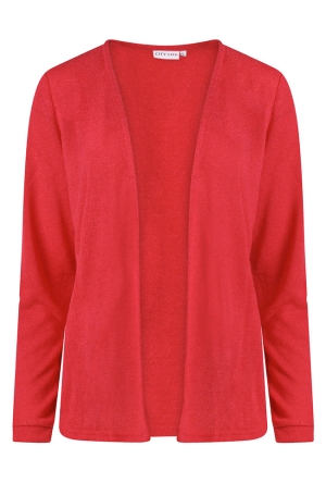 Citylife Z10616/213826 ROOD  poinsettia