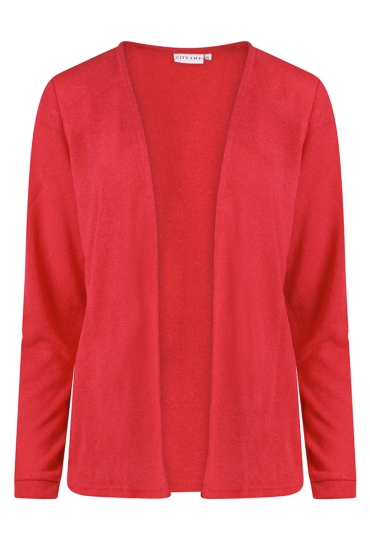 Citylife Z10616/213826 ROOD  poinsettia