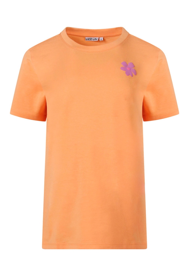 Z10627/213724A oranje 