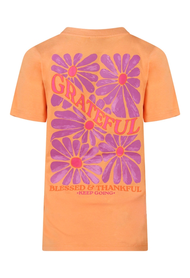 Z10627/213724A oranje 