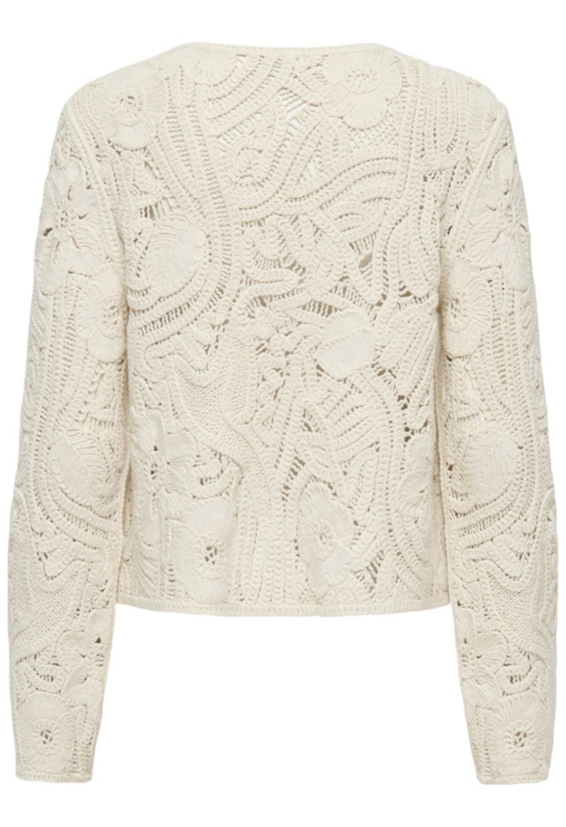 15372593 Cloud Dancer