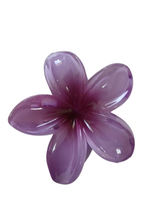 Private label HBW026978 paars  purple