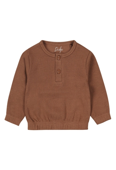 Dirkje wn1245 Bruin  bruin