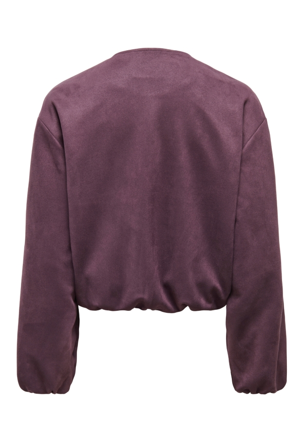 15367790 Huckleberry/SILVER TRIM