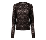 Kleur bruin