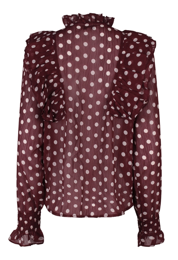 Citylife Dames Tops lange mouw burgundy W20565/Sara