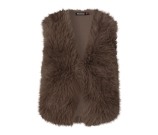 Kleur bruin