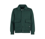 Kleur groen