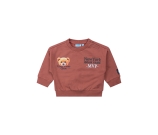 Kleur rood
