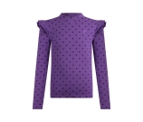 Kleur paars