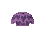 Kleur paars