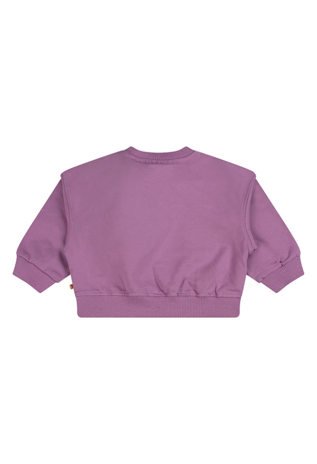 Bakkaboe Baby meisjes Sweaters 25.VIOLET.W26 W20163/3315403 Bakkaboe Baby meisjes Sweaters 25.VIOLET.W26 W20163/3315403