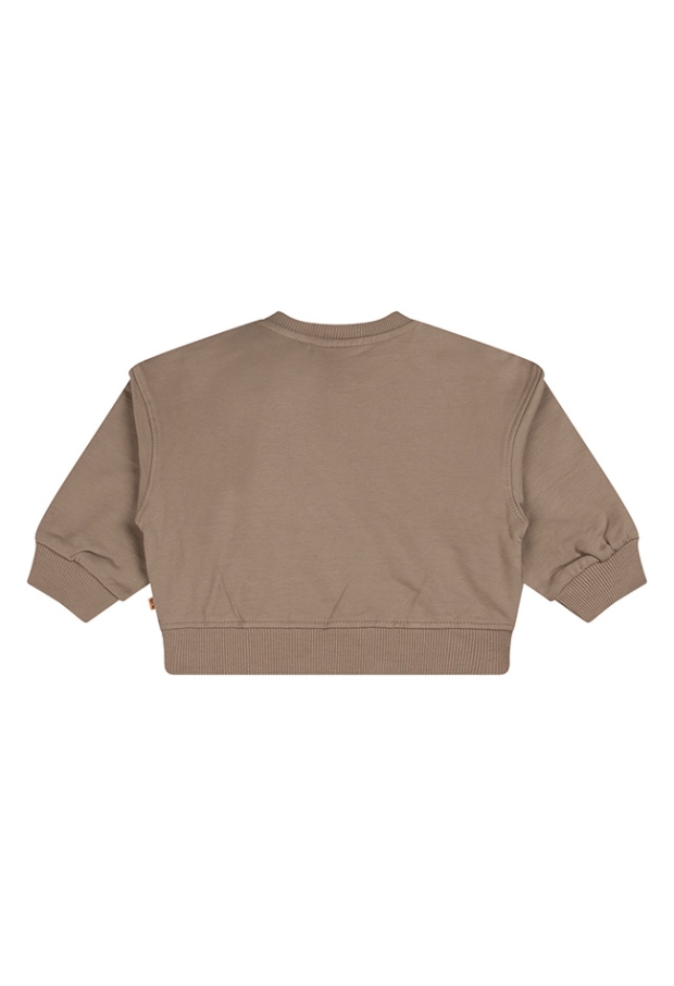 Bakkaboe Baby meisjes Sweaters 12.TAUPE.W26 W20163/3315403