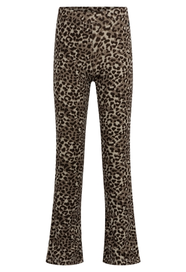 Persival W20067/3310211 DONKER BRUIN  07.CHOCO.W26